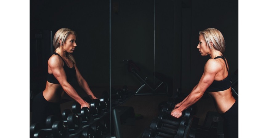 Proteína en batidos: ¿cuál elegir?